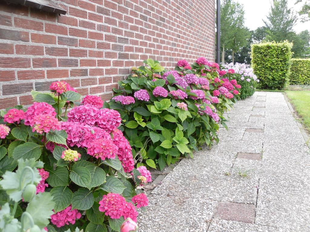 Nicolaashoeve Beemster Noordbeemster Bagian luar foto